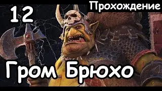 Гром Пузан. Ломанные Топоры. (Легенда.) ч.12 Total War: Warhammer 2.
