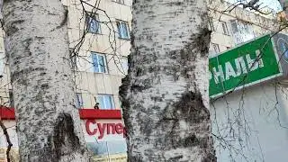 Парад Победы 2022. Город Юрга. 9 Мая