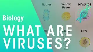 What are viruses | Cells | Biology | FuseSchool