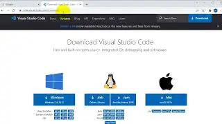 Visual studio code editor