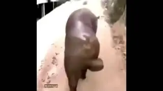 конец ноября