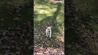 Fall is coming…