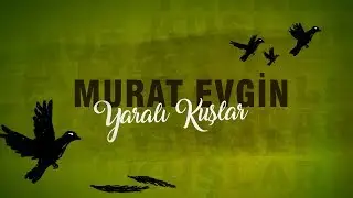 Murat Evgin - Yaralı Kuşlar - Omer, Sueños Robados (Lyrics)  