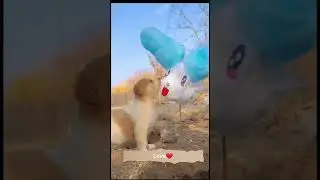 Happiness of dog and puppy with their friends. A beautiful moment 