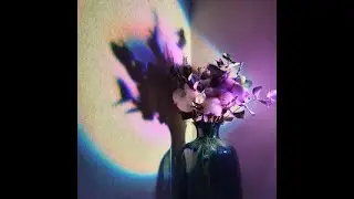 La Fève & Luther Type Beat ~ PLACEBO collab with @helpsisleet