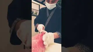 #sushi