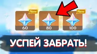 МЕГА ХАЛЯВА от HOYOVERSE | УСПЕЙ ПОЛУЧИТЬ! | Genshin Impact