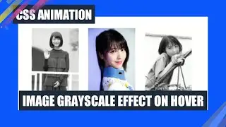 Image Grayscale Effect On Hover CSS Animation