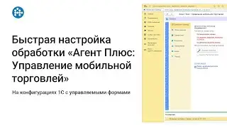 Быстрая настройка обработки «Агент Плюс: УМТ» на конфигурациях 1С с управляемыми формами