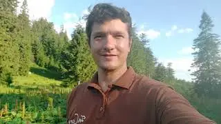 Lerben sult nyuszi a termeszetben
