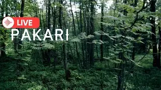 PAKARI- NATIVE SOUNDS TO FEEL GOOD
