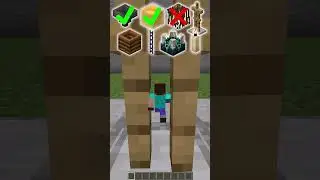 Wait for it...🤣