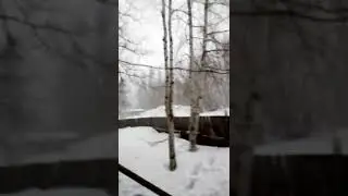 6 апреля 2022 г.