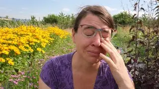 I Didn't Want To Make This Video