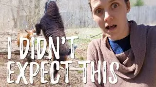 WHO ARE YOU? Unexpected changes from adding a NEW GOAT to the farm