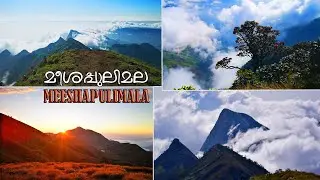Meesapulimala Trekking || Highest altitude stay in South India  || മീശപ്പുലിമല || Travel vlog