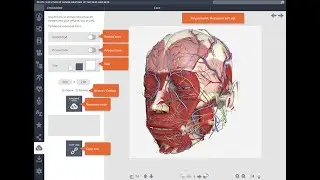 Primal Pictures Embeddable Viewer