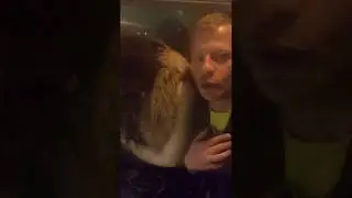 Стих Посвящение швее