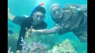 Tentang Karimunjawa - Kepulauan yang sangat indah di utara pulau Jawa