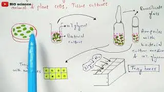 Repeated sub culturing | Cryopreservation | Preservation of microorganisms | Bio science