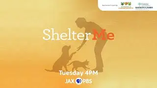 Shelter Me Tuesdays 4pm on Jax PBS