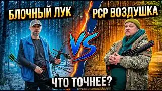 Compound Bow VS PCP Air Rifle: Accuracy and Precision Test