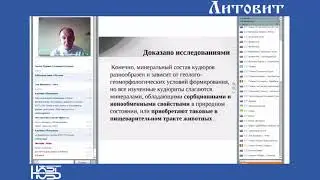 Андрей Никитин .  Литотерапия