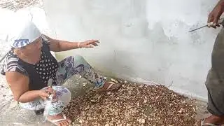 Um dia normal no interior Fazendo Farinha.