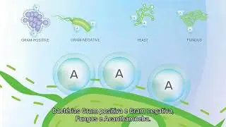 ACUVUE™ RevitaLens
