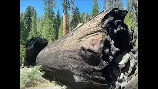 Yosemite Park
