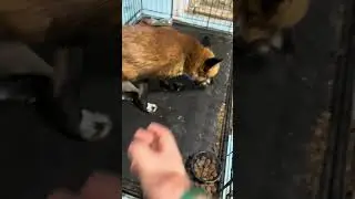 Как разбить яйцо