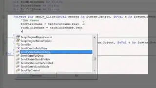 Visual programming project - String variables and concatenation