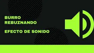 Burro  rebuznando: efecto de sonido