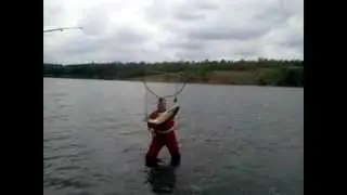 Ловим белого амура!