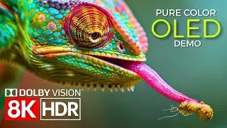 The Power of Pure Color — Dolby Vision in 8K Ultra HD HDR 60fps