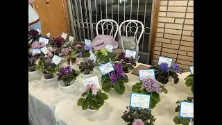 Выставка - ярмарка комнатных и садовых растений🌺🌵🌹.