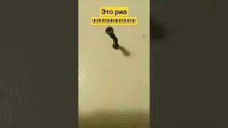 я сам охринел😳