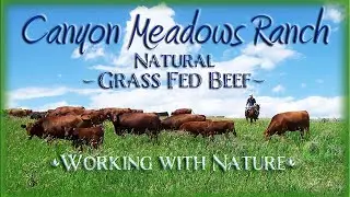 Canyon Meadows Ranch UT Leopold Conservation Award Finalist 2020