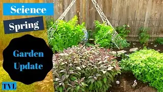TVL - Spring - Garden Update
