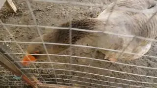 первый день весны