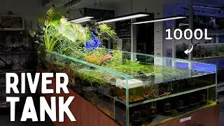 1000L Sloped River Tank at Atlas Aquariums!