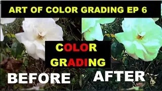 ART OF COLOR GRADING ON VIDEOPAD