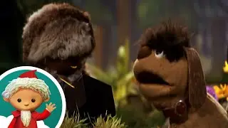 Pitti als Reporter der Nordpolzeitung 📷 | Ganze Folge mit dem Sandmännchen