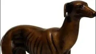 Собака собака собака собака собака моя собака #ясерый #shorts