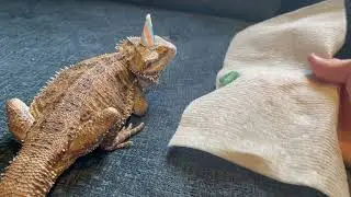 Rodney's First Birthday