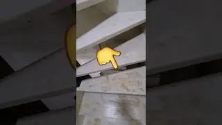 TRAP SCHILDEREN.