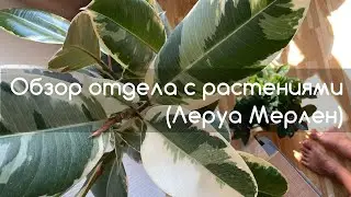Обзор отдела с растениями в Леруа Мерлен (Лемана ПРО)