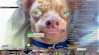 The most manliest Woof that you will ever hear.