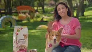 Beneful Dog Food with Real Beef as #1 Ingredient
