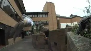 Daniel Ilabaca - Cambridge Joy